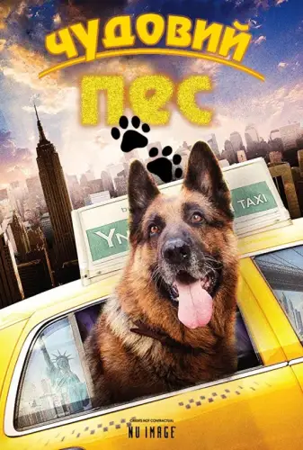 Крутий собака (2010)