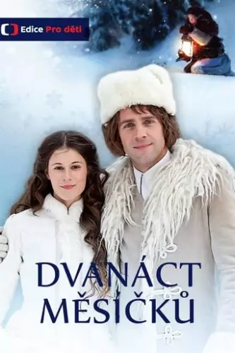 Дванадцять місяців (2012)