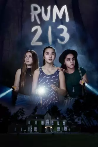Кімната 213 (2017)