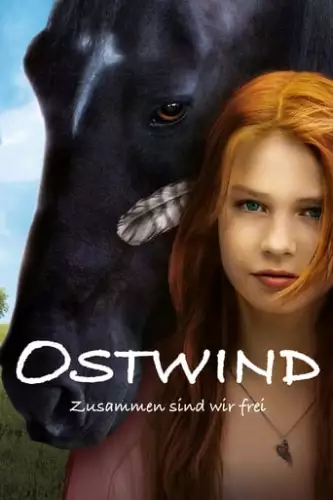 Східний вітер (2013)