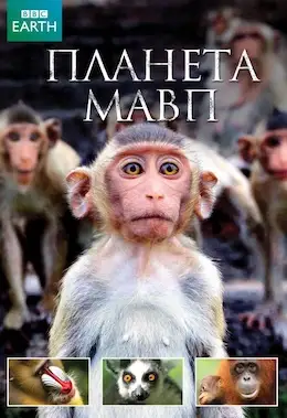 Планета мавп (2014)