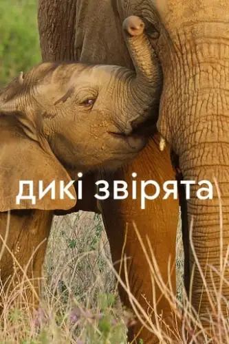 Дикі звірята (2022)