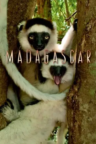 Мадаґаскар / Мадагаскар (2011)