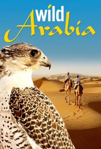 Таємнича Аравія (2013)