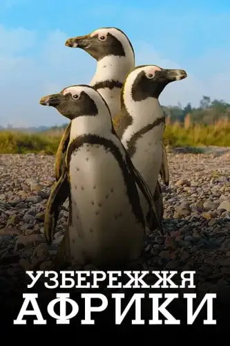 Узбережжя Африки (2015)
