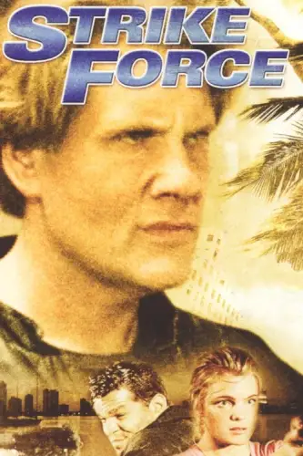 Бойова бригада (2003)