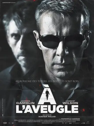 Сліпий (2012)