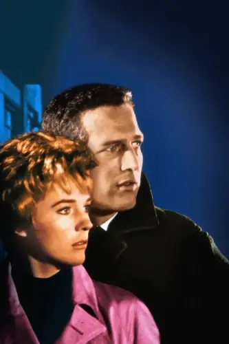 Розірвана завіса (1966)